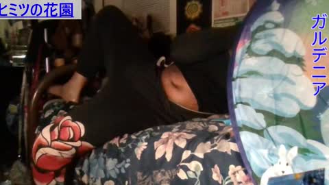 Gardenia online show from December 15, 11:23 am