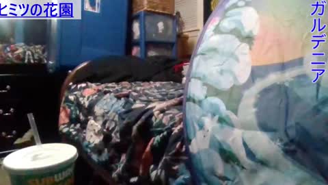 Gardenia online show from December 25, 12:37 am