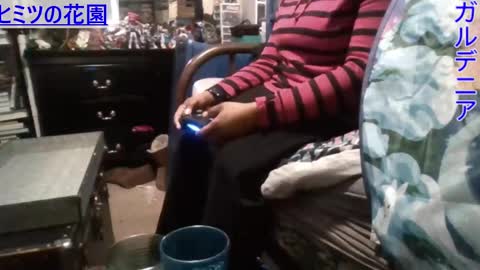 Gardenia online show from December 29, 9:09 pm