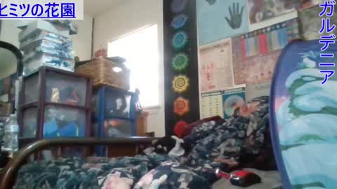 Gardenia online show from February 26, 9:48 pm