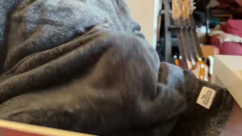 geezerblokeii online show from December 2, 9:13 am