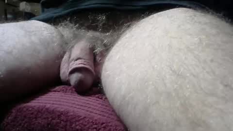 gemini_2 online show from December 29, 2:21 pm