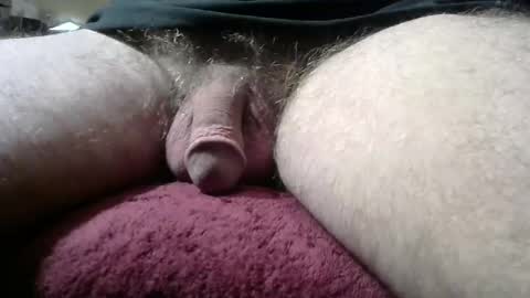 gemini_2 online show from January 12, 3:46 pm