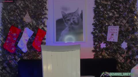 Snapshot of geminis_grey chatting on February 26, 4:14 am Geminis online show from February 26, 4:14 am