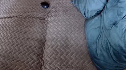 Snapshot of georgiapeachgirl chatting on November 30, 10:19 am Melissa online show from November 30, 10:19 am