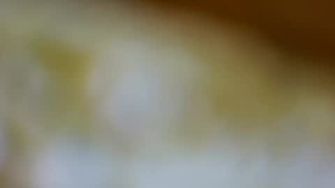 germanandy71 online show from November 26, 9:10 am