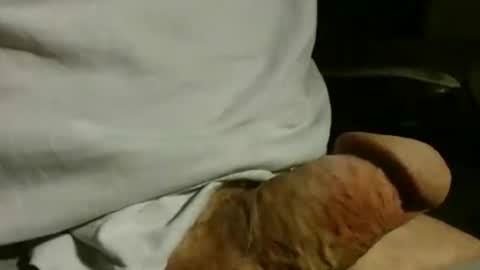 gettingstiff online show from December 1, 1:38 pm