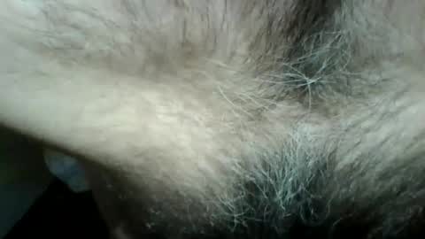 Snapshot of gigigegio chatting on September 14, 6:07 pm gigigegio sky online show from September 14, 6:07 pm