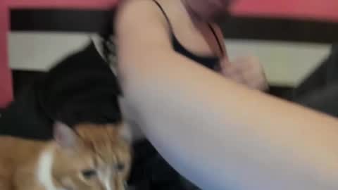 Gisella online show from January 10, 2:34 pm