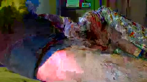 guybuzz online show from December 18, 5:10 pm