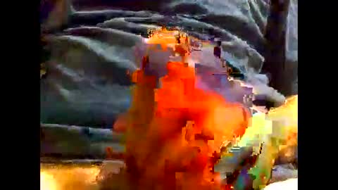 PencilDick online show from December 5, 9:39 am