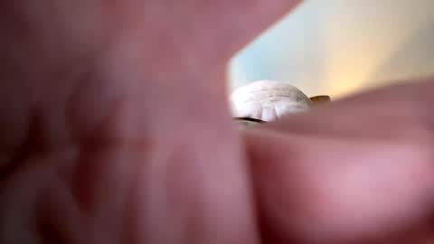 gngnxxx online show from October 7, 12:02 pm