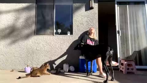 GoddessMayvn online show from December 10, 9:33 pm