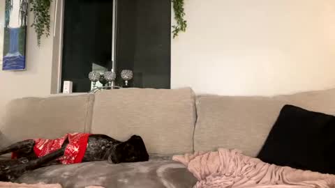 GoddessMayvn online show from December 26, 10:16 am