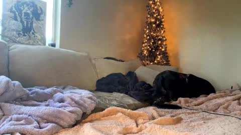 GoddessMayvn online show from January 10, 3:48 pm