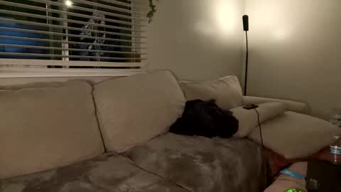 GoddessMayvn online show from January 26, 7:32 am