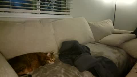 GoddessMayvn online show from January 26, 10:34 am