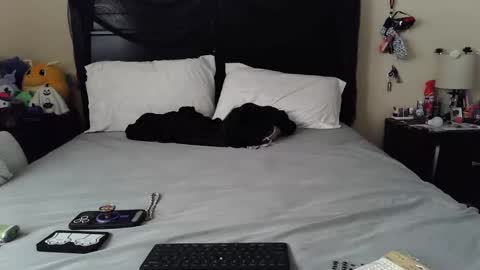 gothbaby305 online show from October 29, 1:46 pm