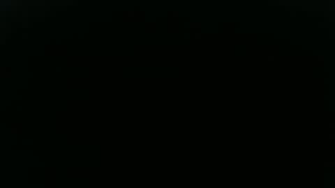 Longwood online show from September 12, 7:25 pm