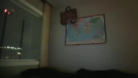 Snapshot of gregrev chatting on January 1, 4:39 am gregrev online show from January 1, 4:39 am