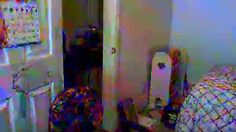 Gary online show from January 6, 11:29 am