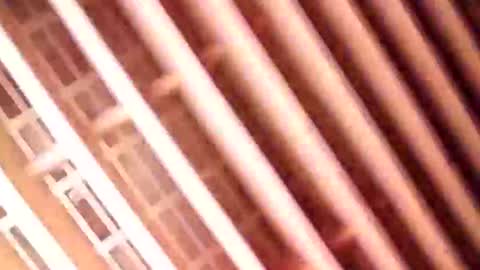 Gu online show from January 9, 6:59 am