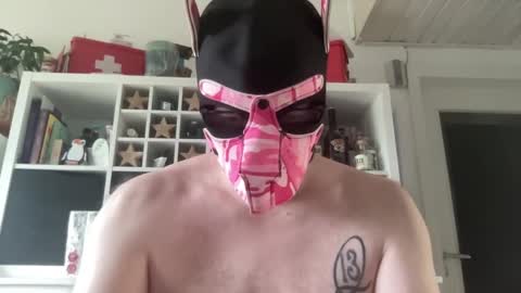 Snapshot of gummicasual chatting on December 18, 10:43 am gummicasual online show from December 18, 10:43 am