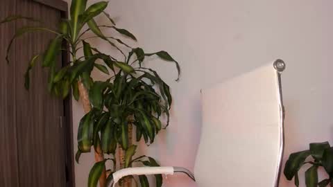 Hailey online show from October 1, 10:21 am