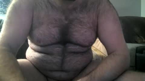 Hairiest Bear online show from February 8, 10:39 am