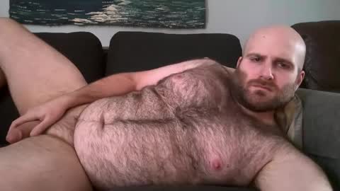Hairiest Bear online show from February 11, 4:02 pm
