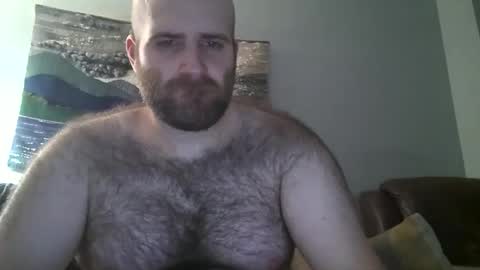 Hairiest Bear online show from February 17, 11:34 am