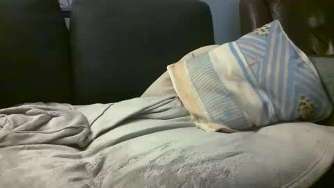 Hairiest Bear online show from February 18, 8:16 am