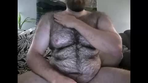 Hairiest Bear online show from September 29, 5:45 am