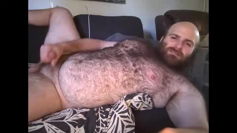 Hairiest Bear online show from October 1, 2:45 pm