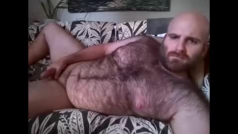 Hairiest Bear online show from October 28, 2:53 pm