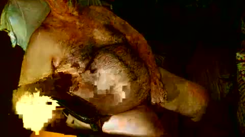 hairybear813 online show from January 3, 12:11 am