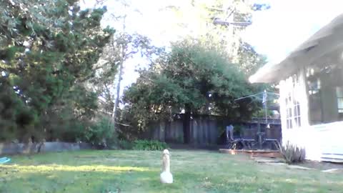 Snapshot of handysmurf chatting on December 4, 11:24 pm HandySmurf online show from December 4, 11:24 pm