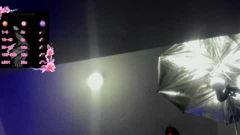 Hanna online show from November 3, 1:34 pm