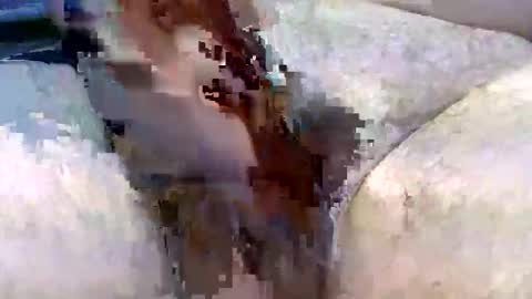 Snapshot of hardonjohnny68 chatting on December 2, 9:03 am Hardonjohnny68 online show from December 2, 9:03 am