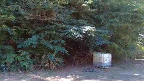 hardworkertn online show from September 23, 6:33 pm