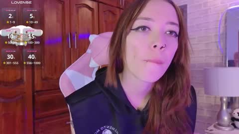 Harper online show from November 8, 8:51 pm