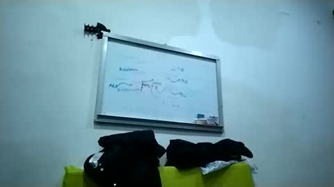 harrybad55 online show from November 25, 4:45 am