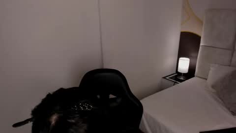 has_gonzalezz online show from November 26, 4:46 am