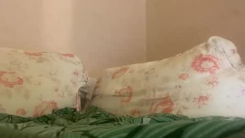 dee online show from January 27, 4:09 am