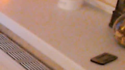 Heaven girl online show from January 4, 2:14 am