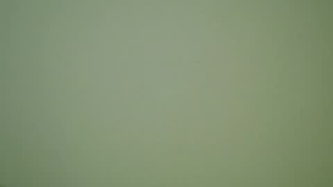 John Pearl online show from December 30, 10:01 pm