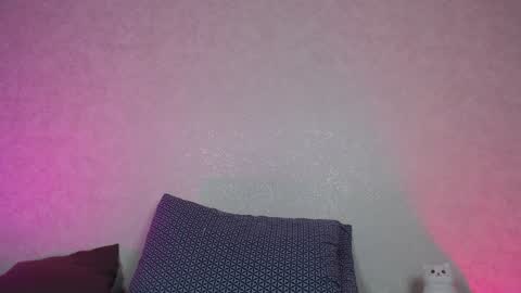 Hesssa Prime time  The broadcasts start at 3am and 3 pm London time  online show from December 28, 3:04 pm