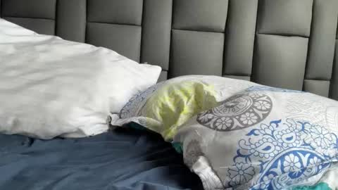 Snapshot of highlatin_guys chatting on September 21, 8:54 pm Terry and E online show from September 21, 8:54 pm