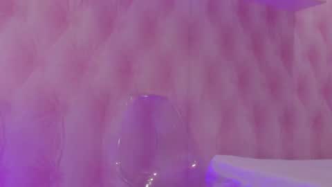 Snapshot of hillary_banks__ chatting on February 26, 4:47 am Hillary online show from February 26, 4:47 am