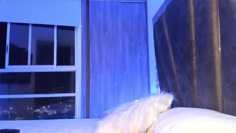 Snapshot of holly_29_m chatting on February 11, 3:29 am Mara online show from February 11, 3:29 am